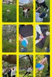 Lov na pisanice – talijanski i francuski jezik